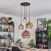 Ripoll Hanglamp, Kogellampje, Cluster hanglamp Amber, Goud, Duidelijk, Koperkleurig, Rookkleurig, 4-lichts