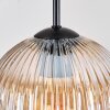 Ripoll Hanglamp, Kogellampje, Cluster hanglamp Amber, Duidelijk, Rookkleurig, 5-lichts