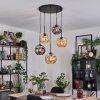 Ripoll Hanglamp, Kogellampje, Cluster hanglamp Amber, Rookkleurig, 5-lichts