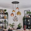 Ripoll Hanglamp, Kogellampje, Cluster hanglamp Chroom, Goud, Duidelijk, Koperkleurig, Rookkleurig, 5-lichts