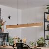 Fugelsta Hanglamp, Hanglamp LED Zwart, 1-licht