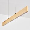 Fugelsta Hanglamp, Hanglamp LED Zwart, 1-licht