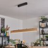 Fugelsta Hanglamp, Hanglamp LED Zwart, 1-licht