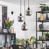 Fanhaes Hanglamp, Hanglamp, Cluster hanglamp Chroom, Rookkleurig, 3-lichts