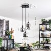 Fanhaes Hanglamp, Hanglamp, Cluster hanglamp Chroom, Rookkleurig, 3-lichts