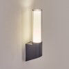 Isara Wandlamp voor buiten, Wandlamp LED Antraciet, 1-licht