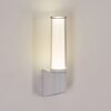 Isara Wandlamp voor buiten, Wandlamp LED Wit, 1-licht