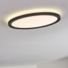 Qadir Plafondlamp voor buiten, Plafondlamp LED Wit, 1-licht