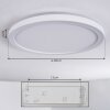 Qadir Plafondlamp voor buiten, Plafondlamp LED Wit, 1-licht