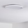 Qadir Plafondlamp voor buiten, Plafondlamp LED Wit, 1-licht