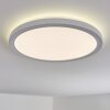 Qadir Plafondlamp voor buiten, Plafondlamp LED Wit, 1-licht