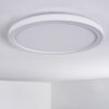 Qadir Plafondlamp voor buiten, Plafondlamp LED Wit, 1-licht