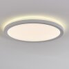 Qadir Plafondlamp voor buiten, Plafondlamp LED Wit, 1-licht