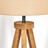 Soungou Staande lamp Hout donker, Zwart, 1-licht