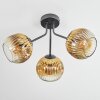 Ripoll Plafondlamp, Kogellampje Goud, Duidelijk, 3-lichts