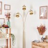 Chellas Staande lamp Messing, Zwart, 3-lichts