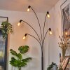 Codecreo Staande lamp Zwart, 5-lichts