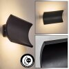 Grana Wandlamp voor buiten, Wandlamp LED Zwart, 2-lichts