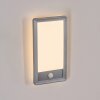 Harel Wandlamp voor buiten, Paneel, Wandlamp LED Zilver, 1-licht, Bewegingsmelder