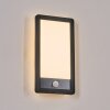 Harel Wandlamp voor buiten, Paneel, Wandlamp LED Zwart, 1-licht, Bewegingsmelder