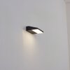 Xaden Wandlamp voor buiten, Wandlamp LED Zwart, 1-licht