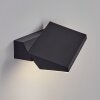 Xaden Wandlamp voor buiten, Wandlamp LED Zwart, 1-licht