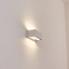 Lanor Wandlamp voor buiten, Licht omhoog & omlaag, Wandlamp LED Wit, 1-licht