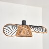 Elsa Hanglamp, Hanglamp Zwart, 1-licht