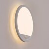 Qadir Wandlamp voor buiten, Wandlamp LED Wit, 1-licht, Bewegingsmelder