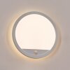 Qadir Wandlamp voor buiten, Wandlamp LED Wit, 1-licht, Bewegingsmelder