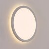 Qadir Wandlamp voor buiten, Wandlamp LED Wit, 1-licht