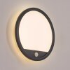 Qadir Wandlamp voor buiten, Wandlamp LED Zwart, 1-licht, Bewegingsmelder