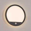 Qadir Wandlamp voor buiten, Wandlamp LED Zwart, 1-licht, Bewegingsmelder