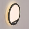 Qadir Wandlamp voor buiten, Wandlamp LED Zwart, 1-licht, Bewegingsmelder