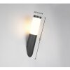 Trio verlichting Trioto Wandlamp Zwart, 1-licht