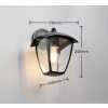 Trio verlichting VENTA Wandlamp Zwart, 1-licht