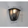 Trio verlichting VENTA Wandlamp Zwart, 1-licht