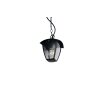 Trio verlichting VENTA Hanglamp Zwart, 1-licht