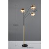 Trio verlichting Paxton Staande lamp Zwart-Goud, 3-lichts