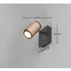 Trio verlichting und Plafondspot, Wand- en plafondlamp, Muurspot Bruin, 1-licht