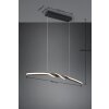 Reality Ginko Hanglamp LED Zwart, 1-licht