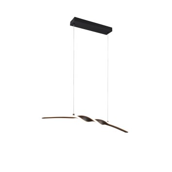 Reality Ginko Hanglamp LED Zwart, 1-licht