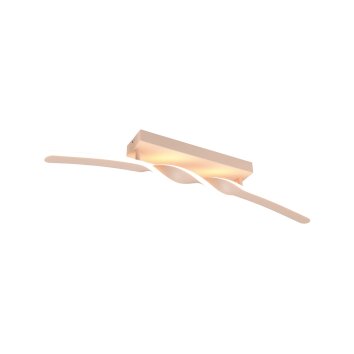 Reality Ginko Plafondlamp LED Beige, 1-licht