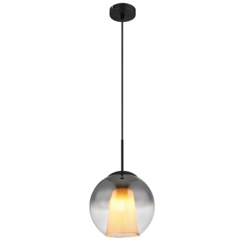 Globo Barry Hanglamp Zwart, 1-licht