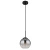 Globo Barry Hanglamp Zwart, 1-licht