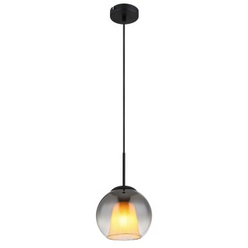 Globo Barry Hanglamp Zwart, 1-licht