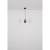 Globo Aleidis Hanglamp Donkerbruin, Zwart, 1-licht