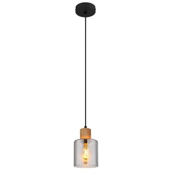 Globo Aleidis Hanglamp Donkerbruin, Zwart, 1-licht