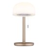 Paddestoel lamp  Globo Norman Tafellamp LED Champagne, 1-licht