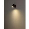 Globo und Plafondlamp, Plafondspot, Wandlamp, Muurspot Donkerbruin, Zwart, 1-licht